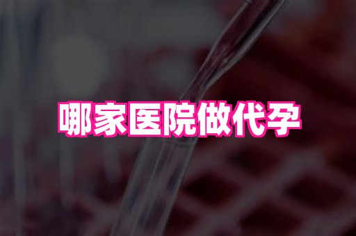 国际助孕网 3